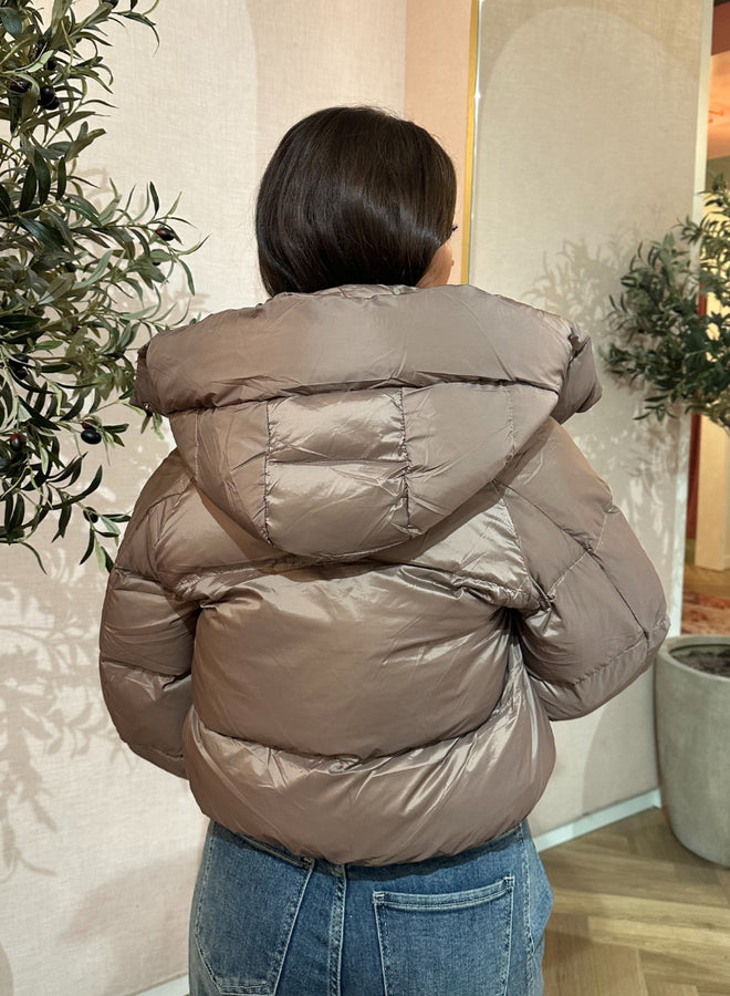 Elysia | Jacket