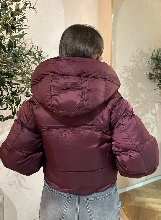 Elysia | Jacket